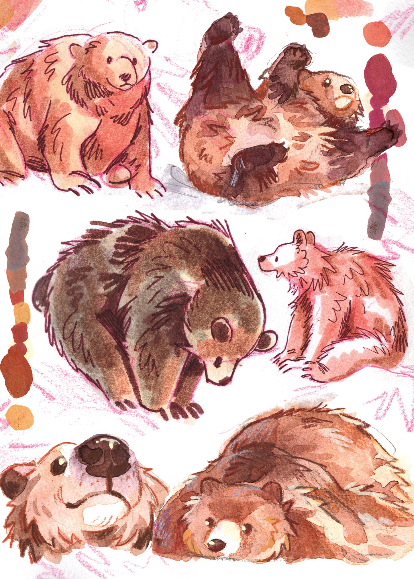 Bear Sketches - Sketchbook Print