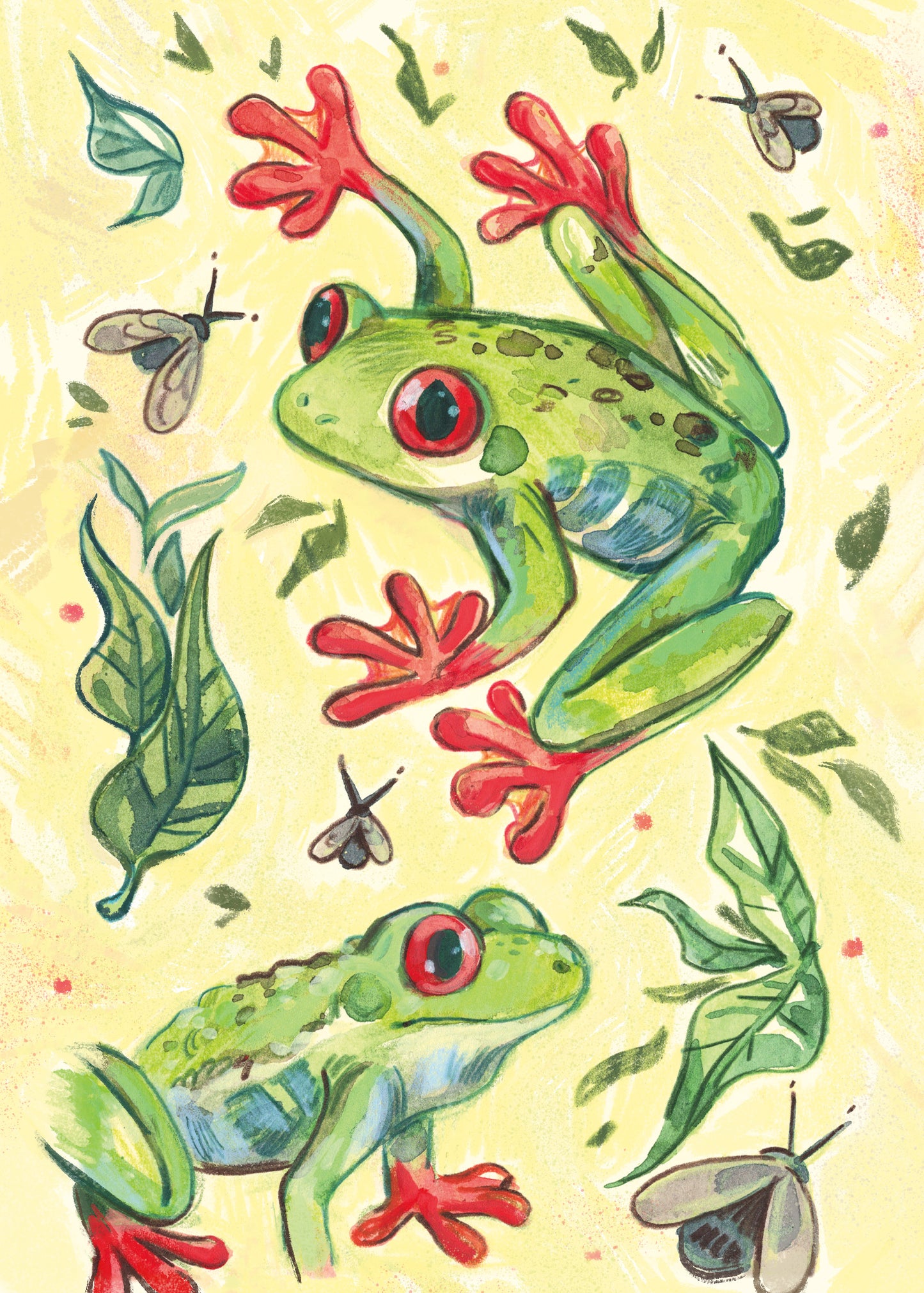 Tree Frogs - Sketchbook Print