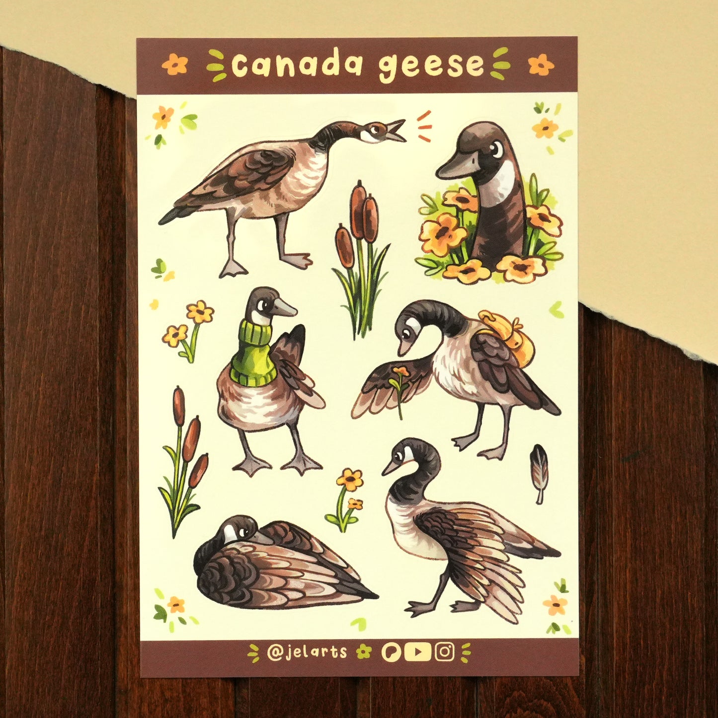 Canada Geese - Sticker Sheet