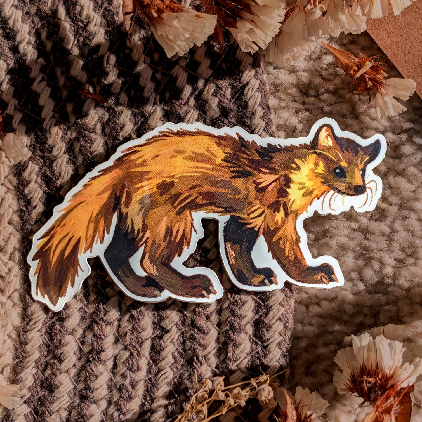Pine Marten - Sticker