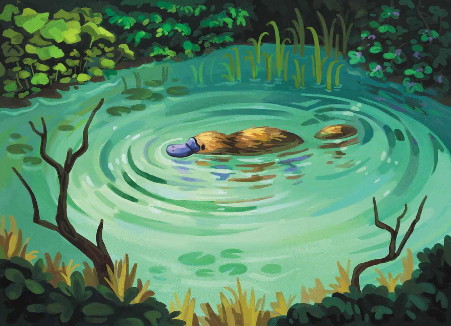 Platypus Pond - Print