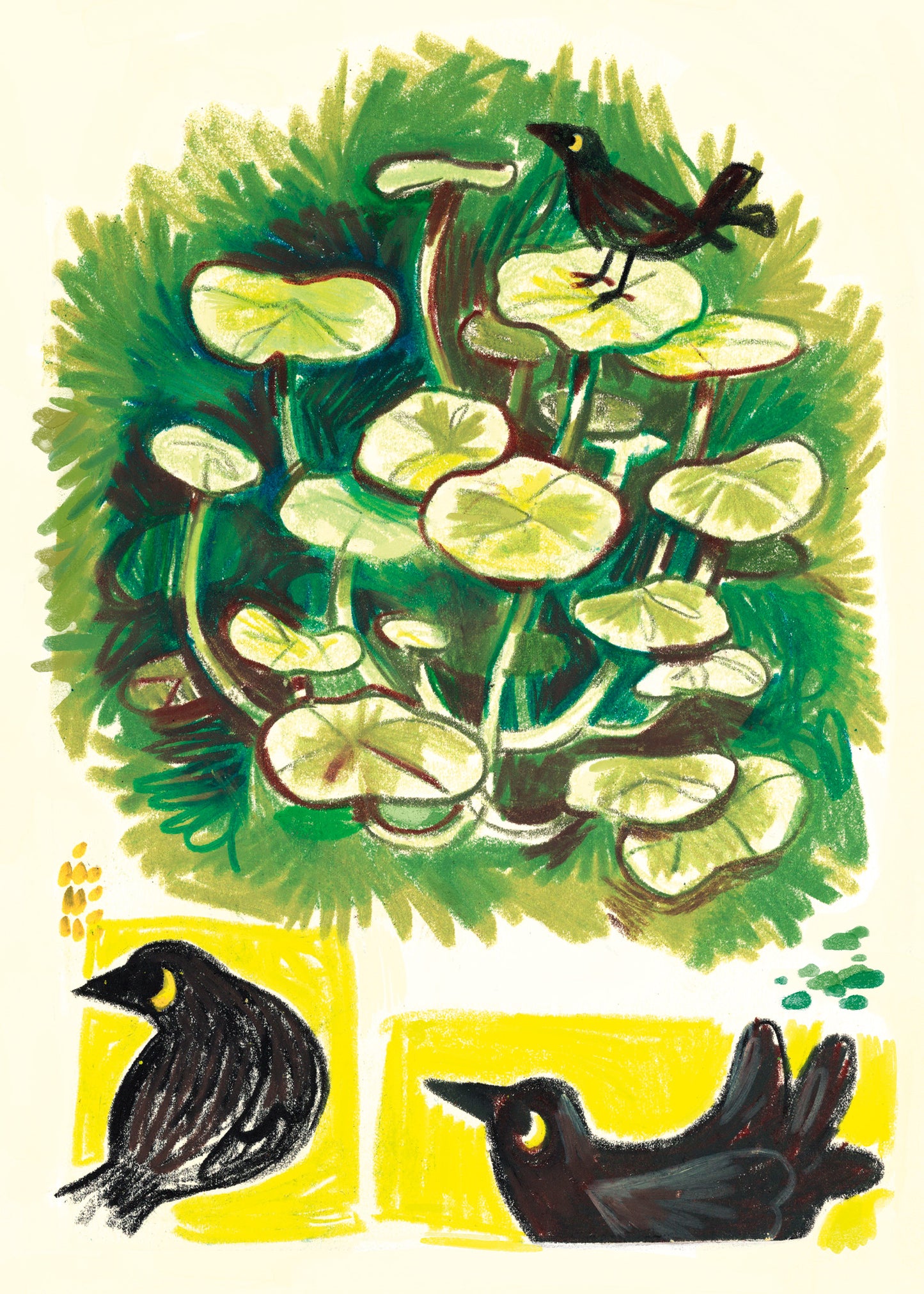 Little Bird - Sketchbook Print