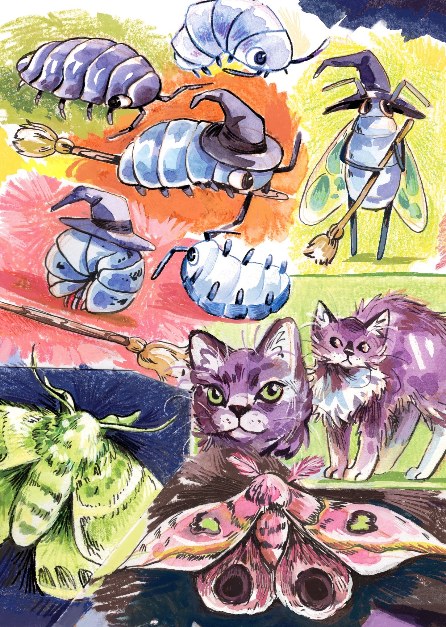 Witch Bug Sketches - Print