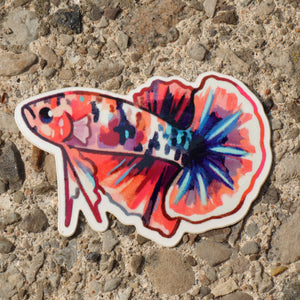 Betta Fish - Sticker