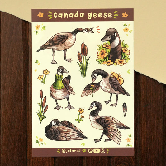 Canada Geese - Sticker Sheet