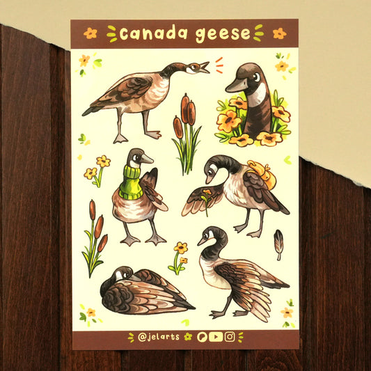 Canada Geese - Sticker Sheet
