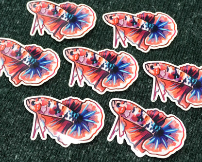 Betta Fish - Sticker