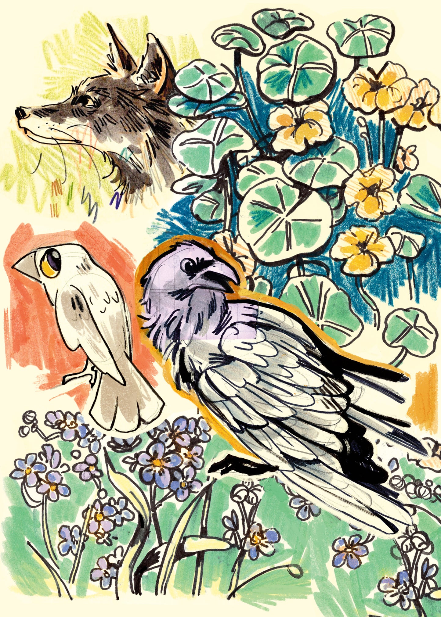 Birds and Plants - Sketchbook Print