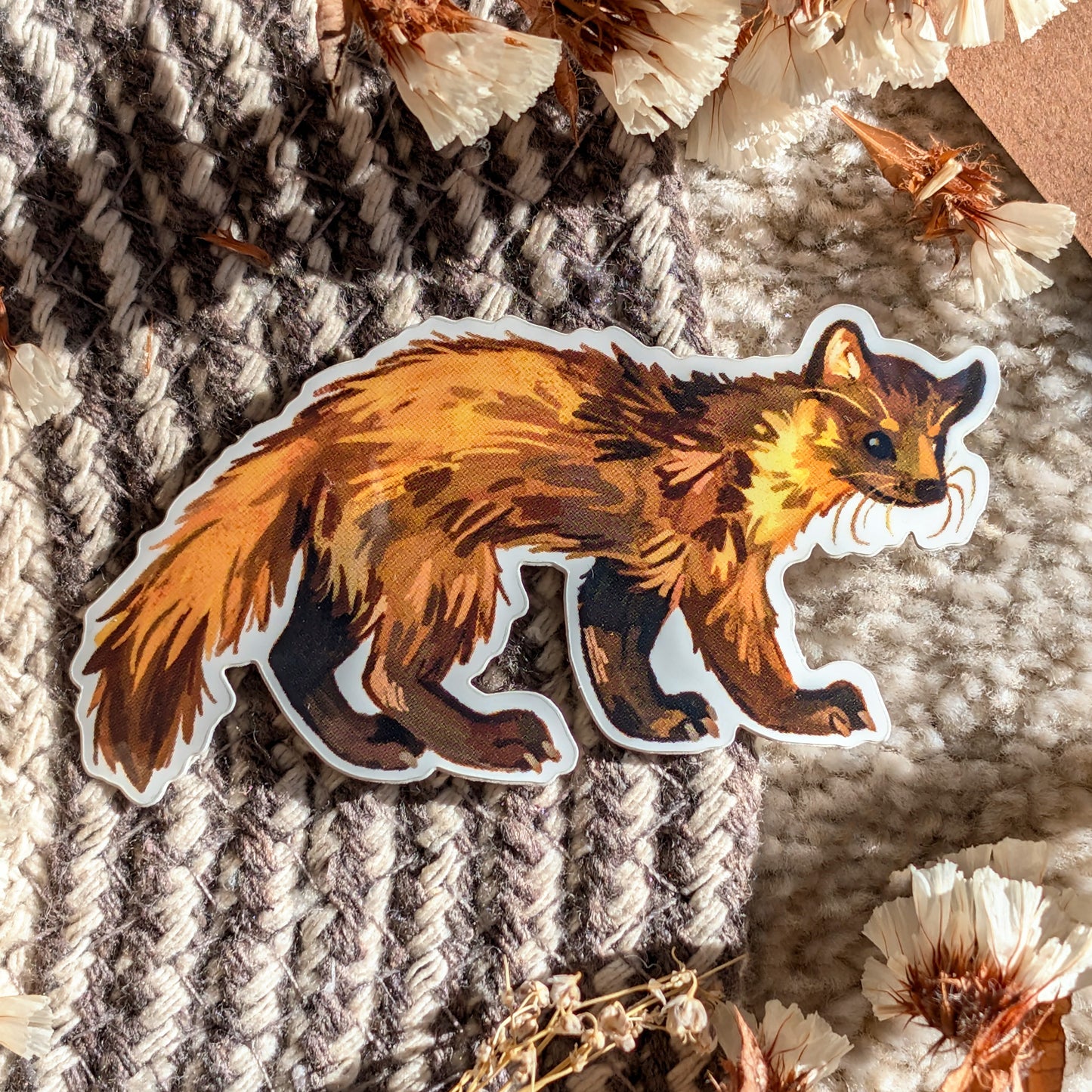 Pine Marten - Sticker