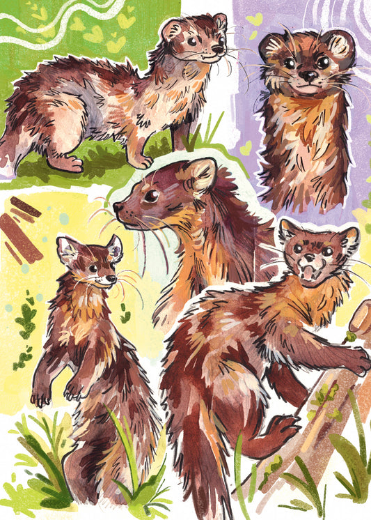 Martens & Weasels - Sketchbook Print