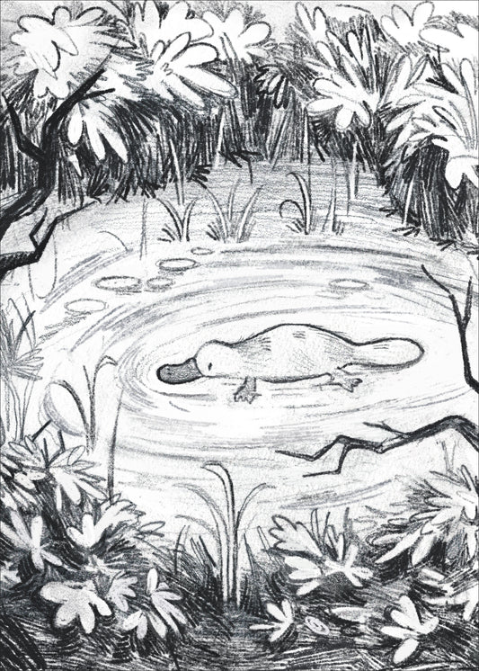 Platypus  - Sketchbook Print