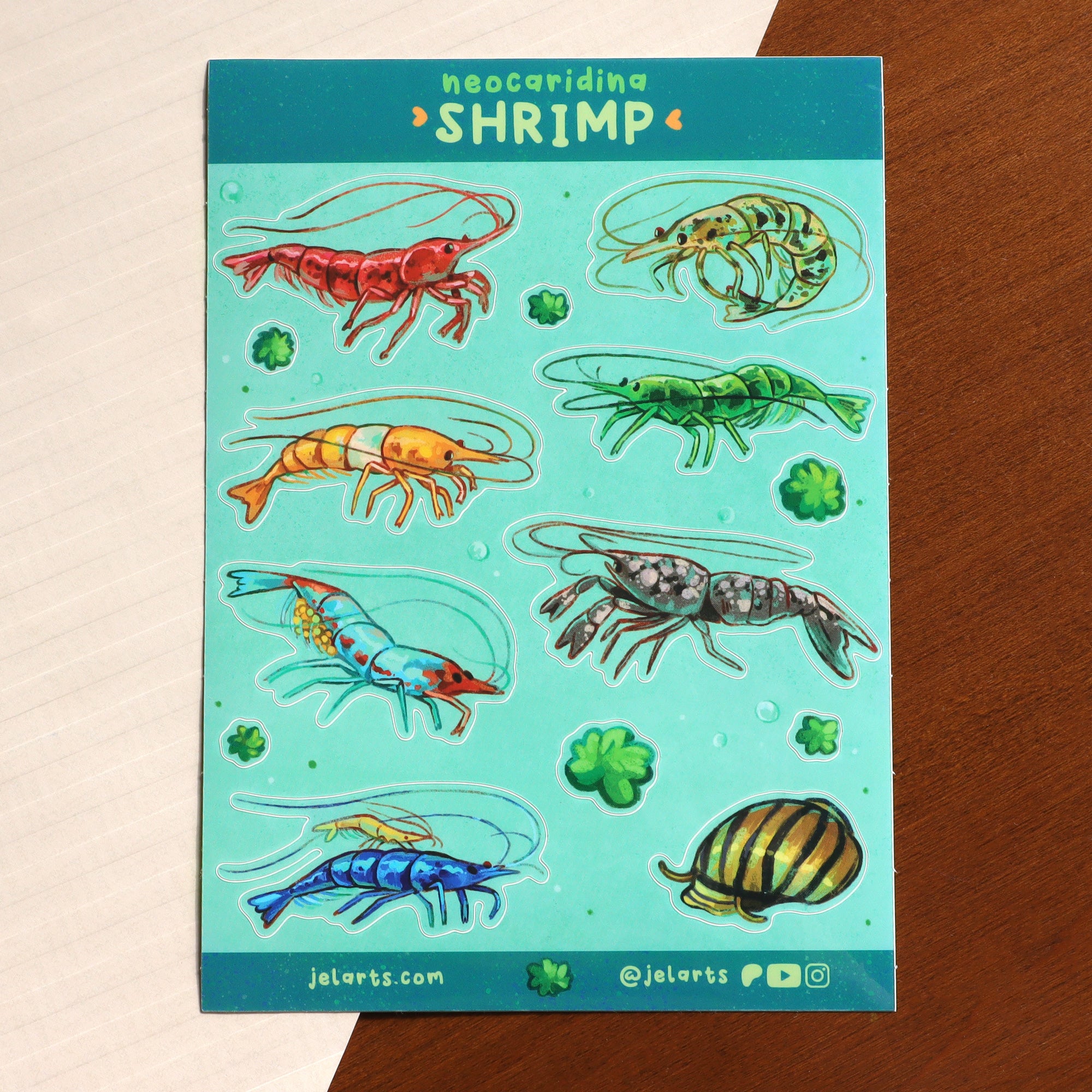 Colourful Shrimp - Sticker Sheet (durable) – JelArts