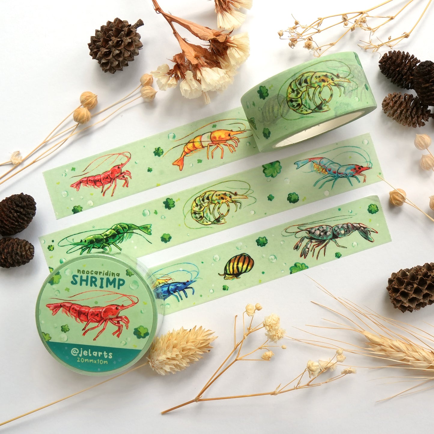 Colourful Shrimp - Washi Tape (version 2.0)