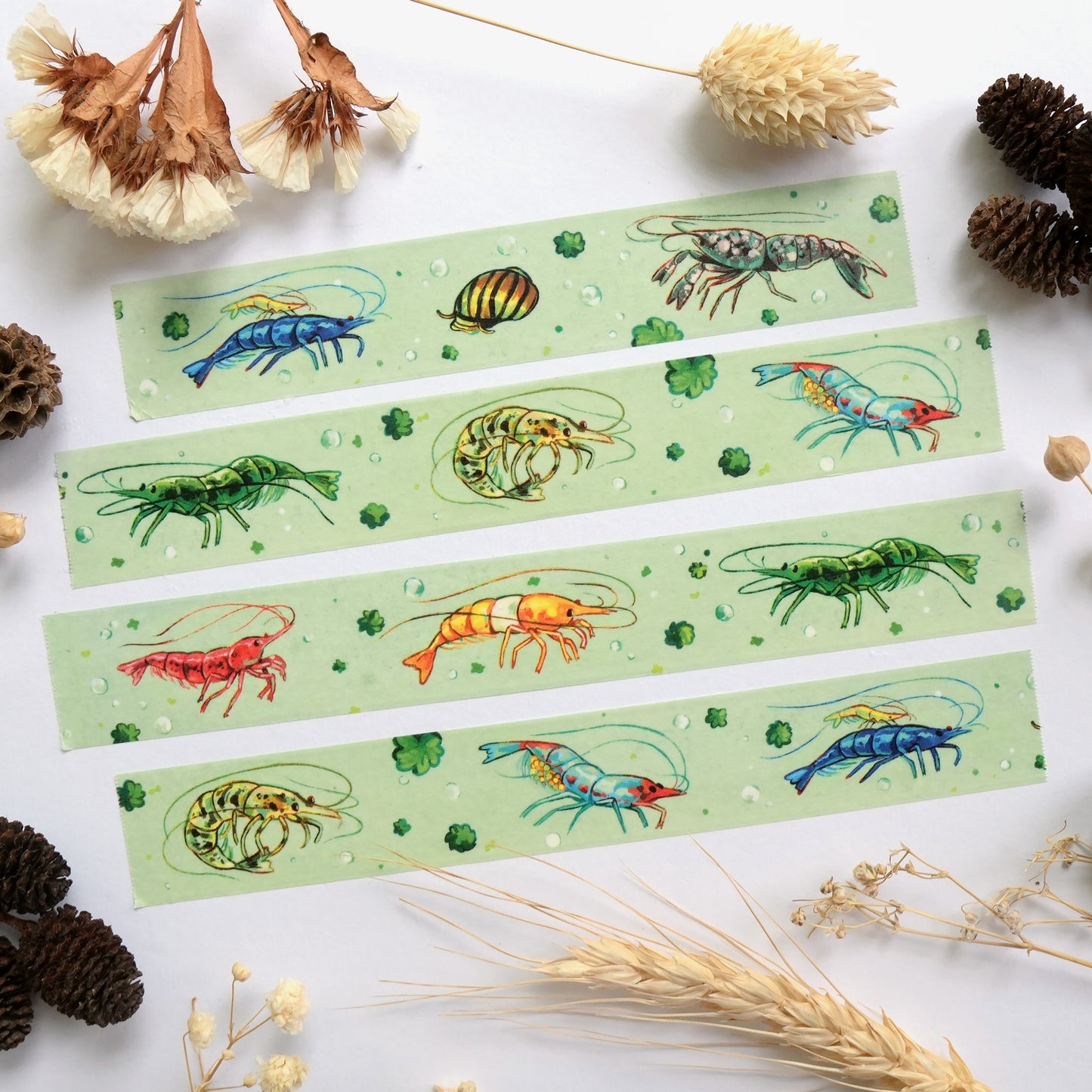 Colourful Shrimp - Washi Tape (version 2.0)