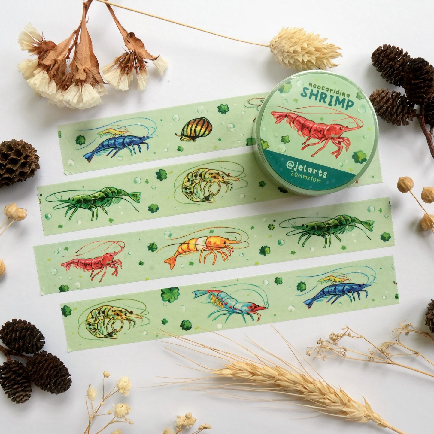 Colourful Shrimp - Washi Tape (version 2.0)
