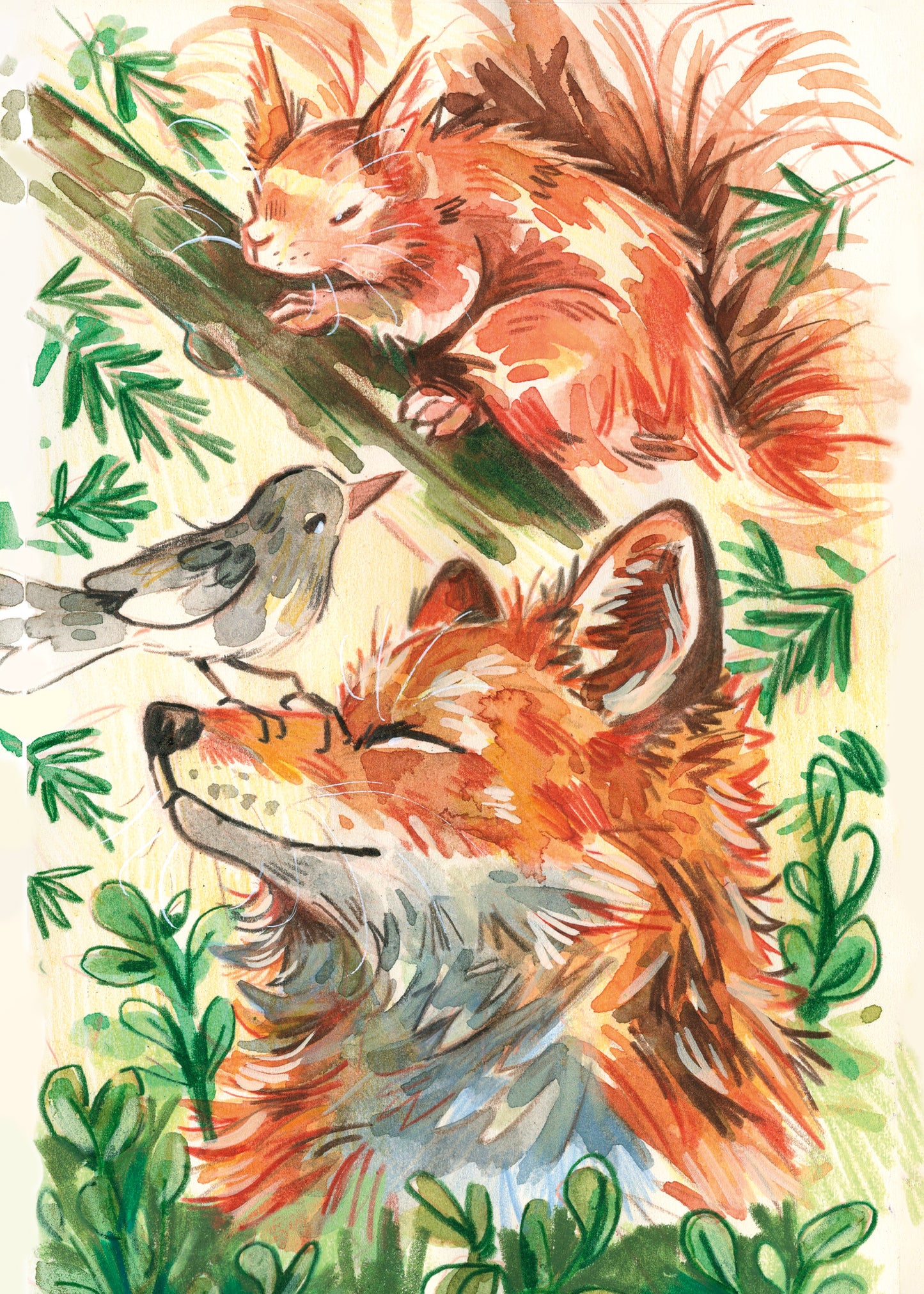Fox & Red Squirrel - Sketchbook Print
