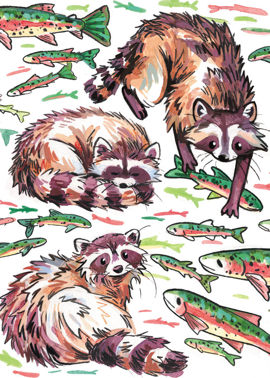 Raccoons & Trout - Sketchbook Print