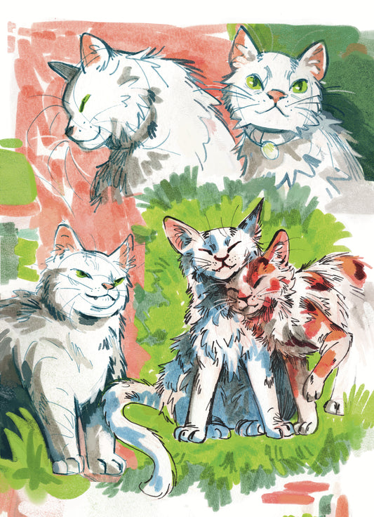 Cat Sketches - Sketchbook Print