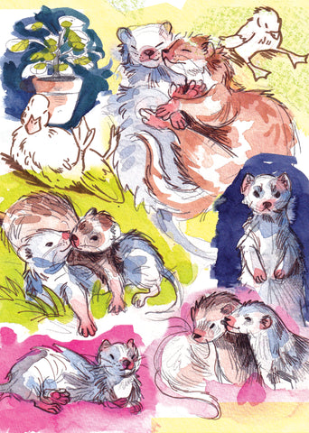 Ferret Sketches - 5" x 7" Print