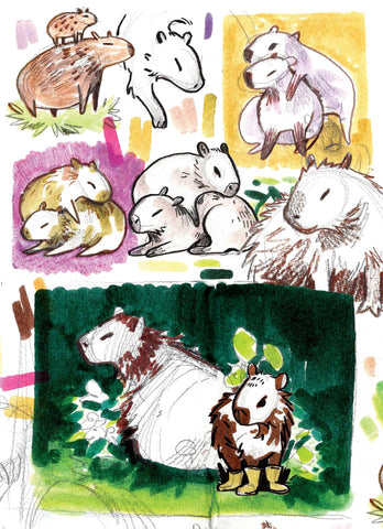 Capybara Sketches - 5" x 7" Print