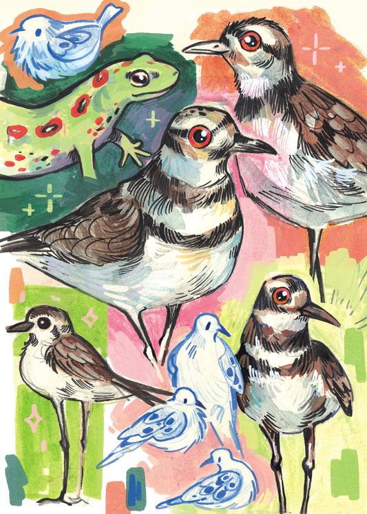 Killdeer & Critters - Sketchbook Print