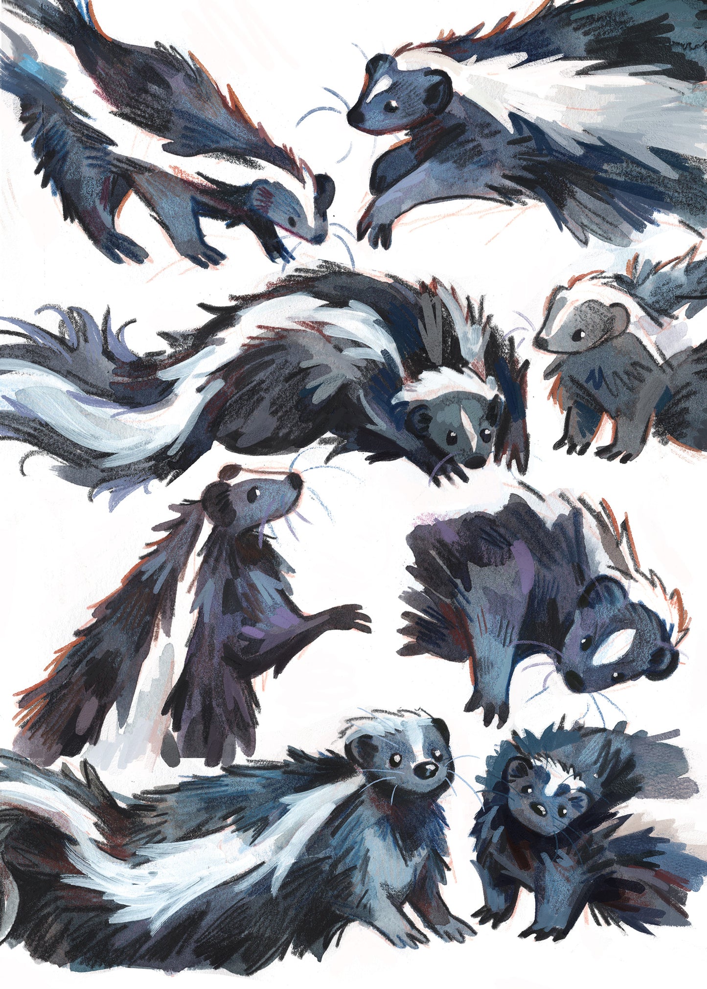 Skunk Sketches - Sketchbook Print