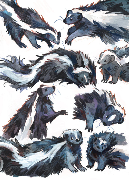 Skunk Sketches - Sketchbook Print