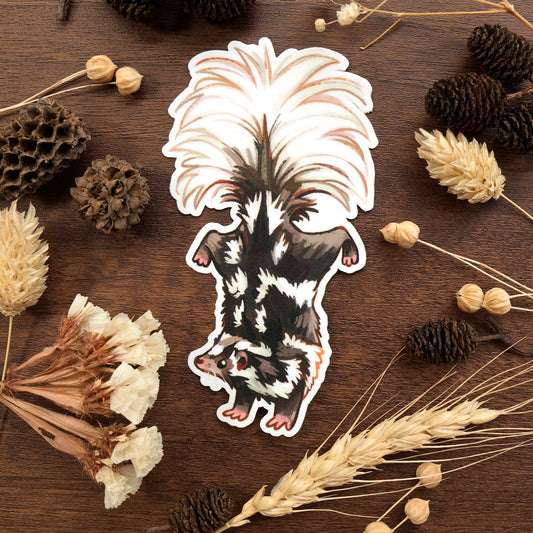 Spotted Skunk - Sticker