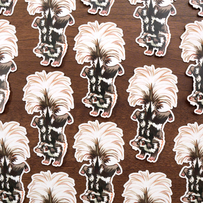 Spotted Skunk - Sticker