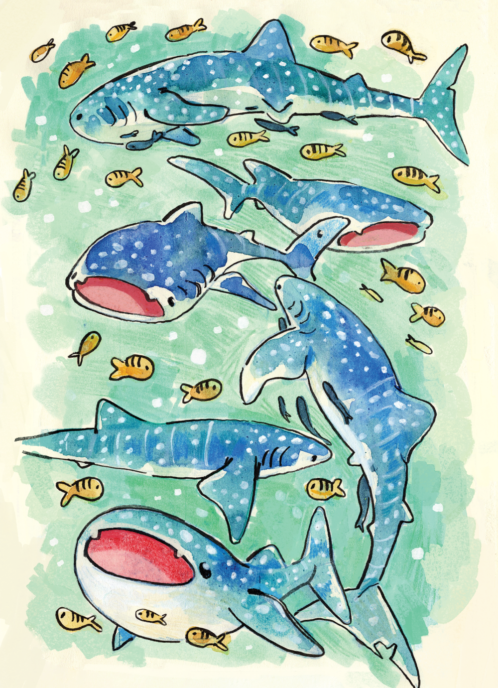 Whale Shark - Sketchbook Print