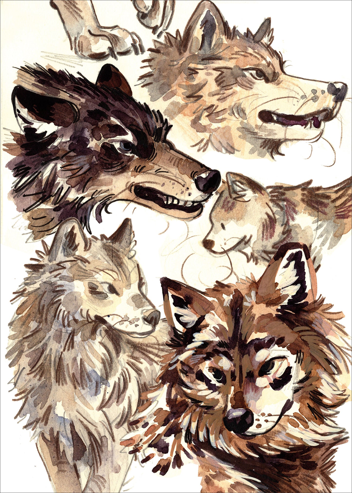 Wolves - Sketchbook Print