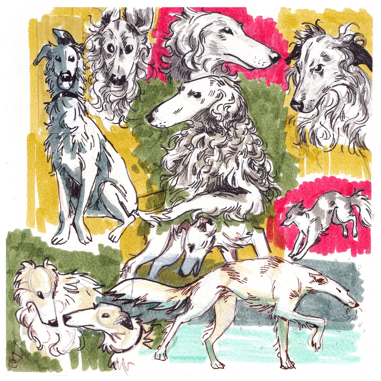 Borzoi Sketchbook Print