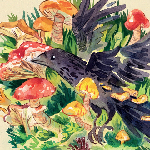 Crow Mushrooms - Print