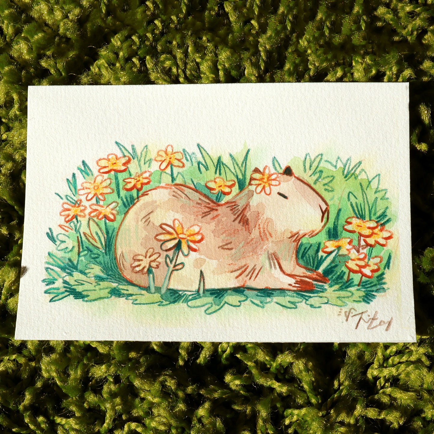 Capybara & Flowers - Original Painting